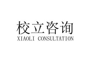 專業(yè)商務信息咨詢服務 成都校立商務信息咨詢有限責任公司的核心價值與實踐